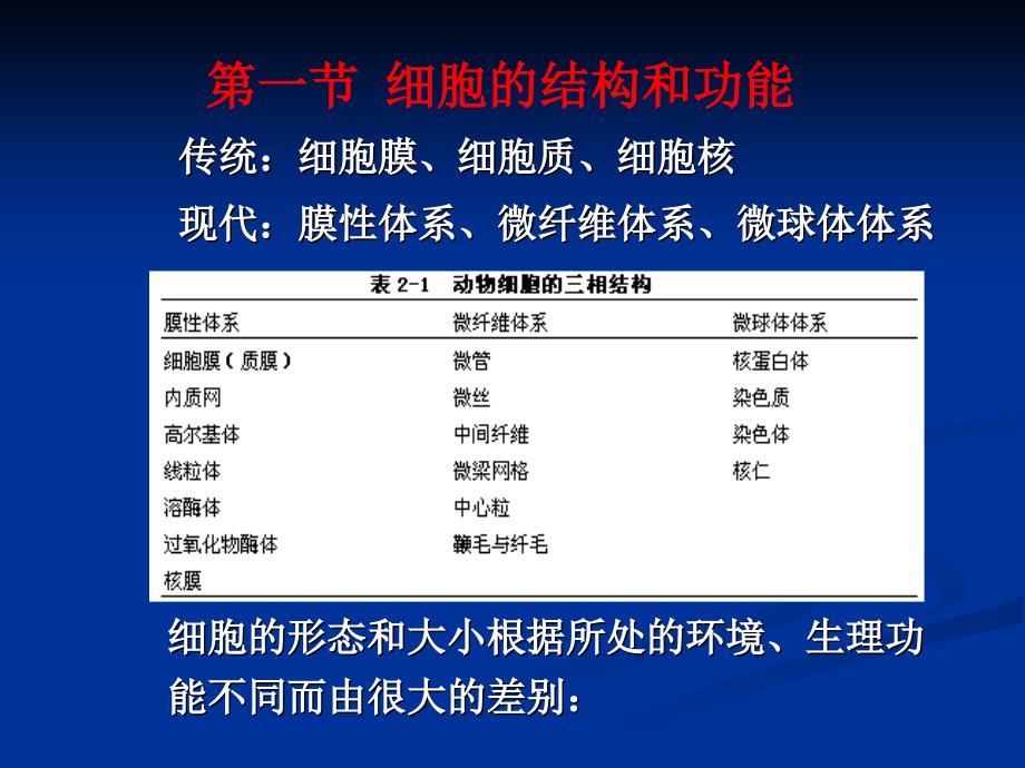 人体解剖生理学---第一章细胞及基本组织分析课件_第3页