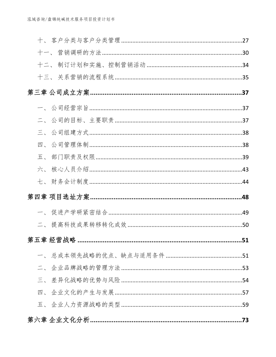 盘锦纯碱技术服务项目投资计划书_第4页