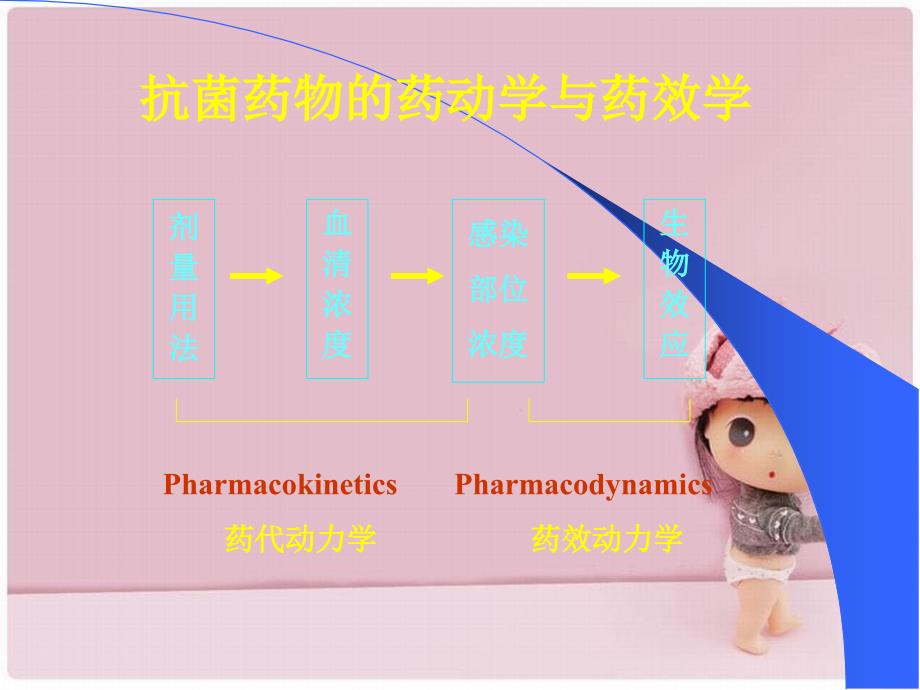 《常用抗菌药物应用》课件_第3页