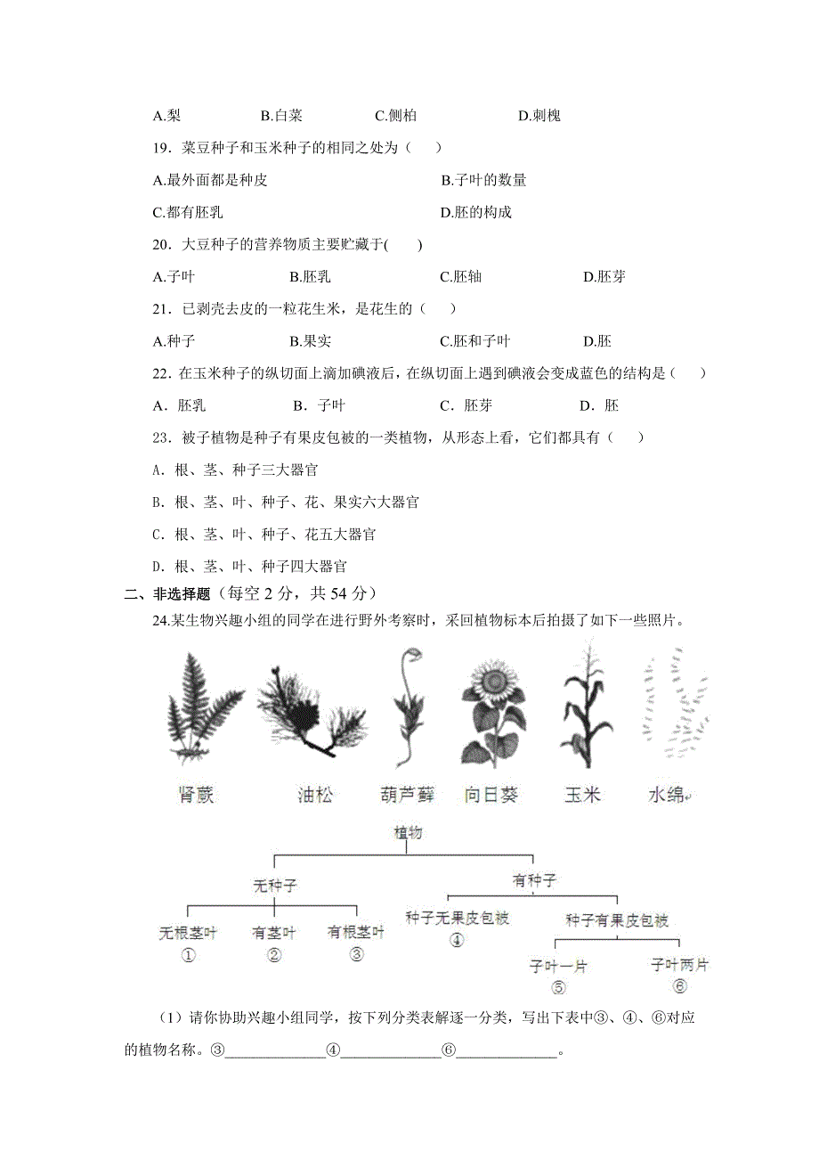 七上第二单元第一章考试_第3页