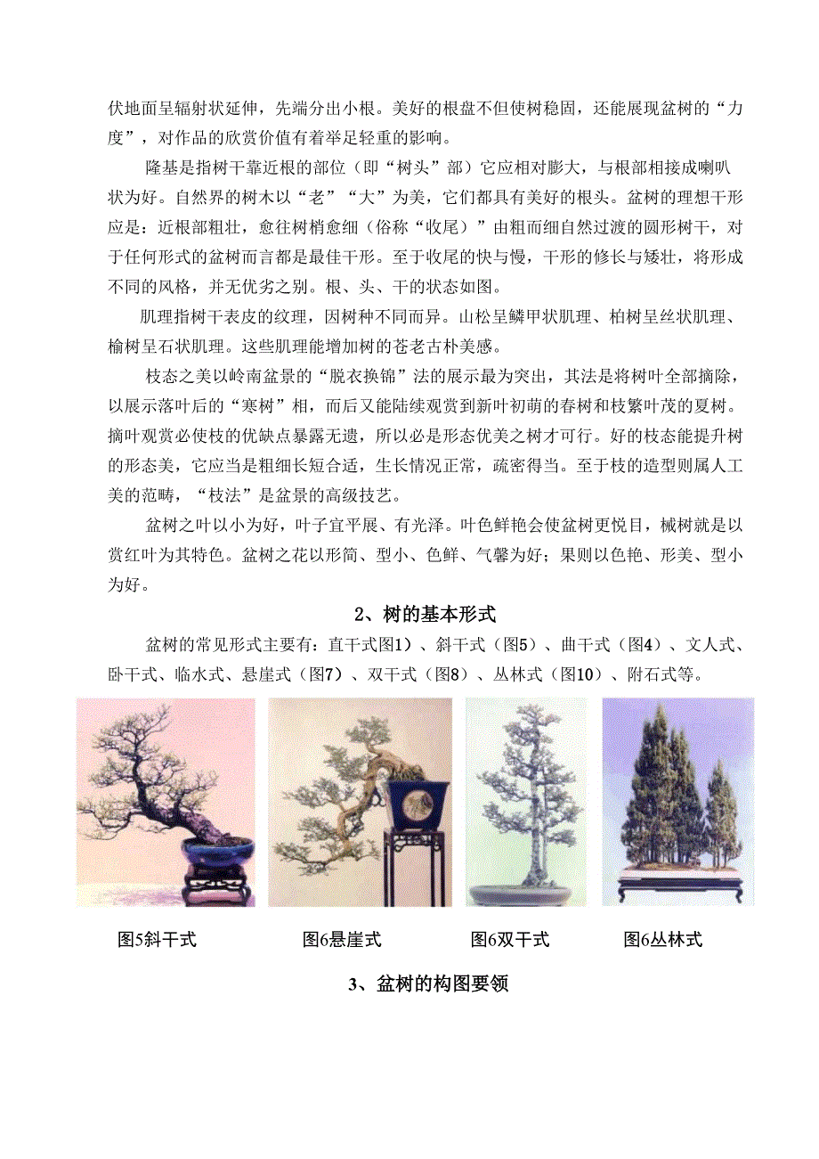 树木盆景鉴赏_第2页