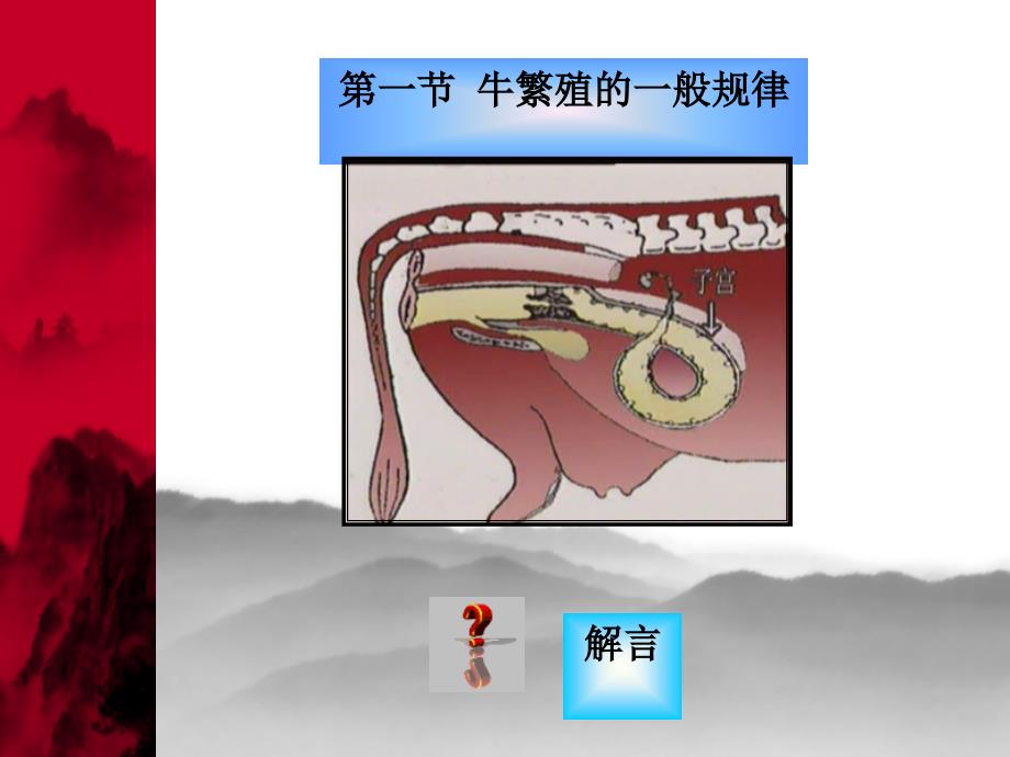 牛的繁殖技术_第2页