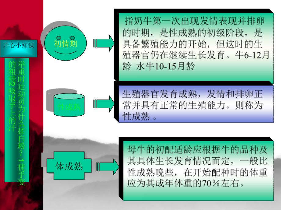 牛的繁殖技术_第4页