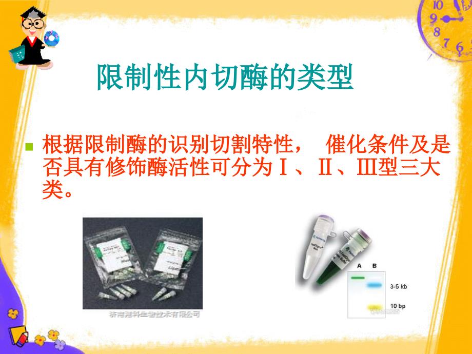 《双酶切及连接》PPT课件.ppt_第4页