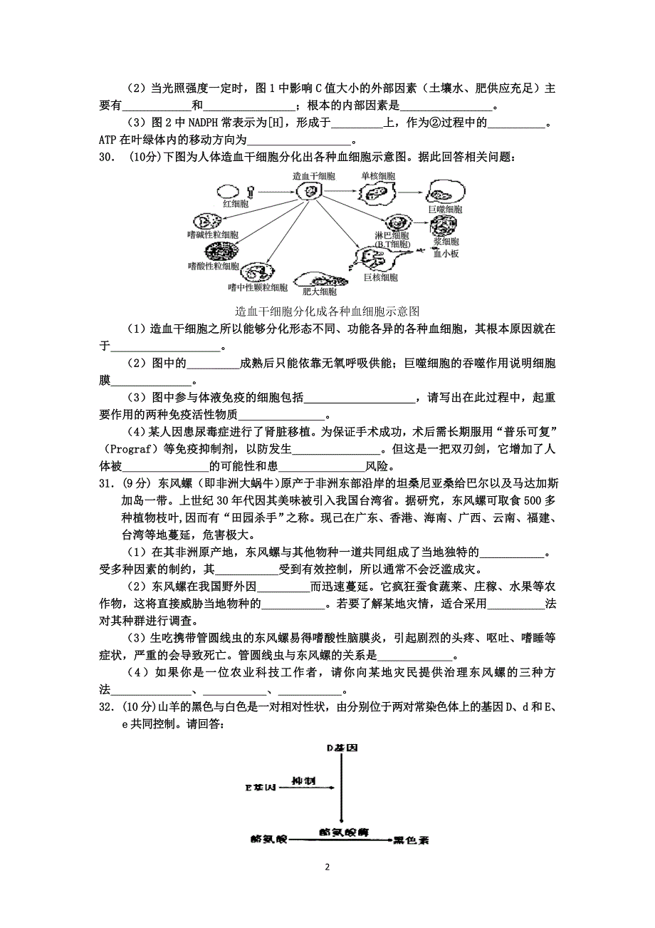 2013年葫芦岛市普通高中一模考试生物试题及答案.doc_第2页