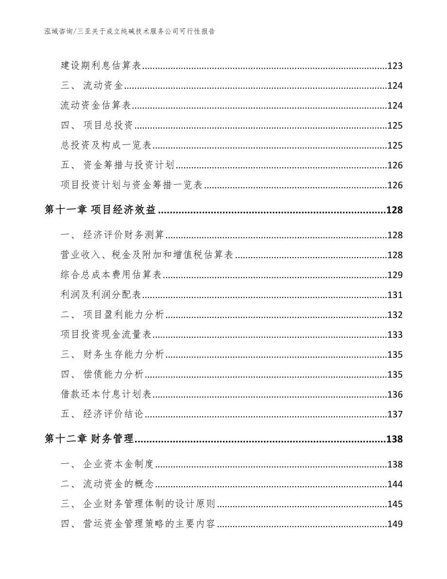 三亚关于成立纯碱技术服务公司可行性报告_第5页