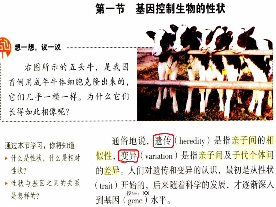 基因控制生物的性状课堂PPT_第2页