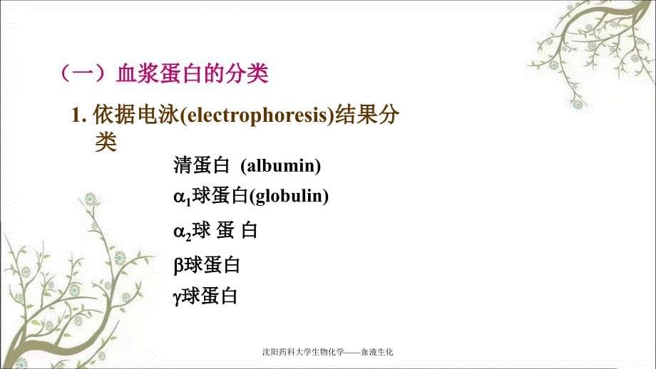 沈阳药科大学生物化学血液生化课件_第5页