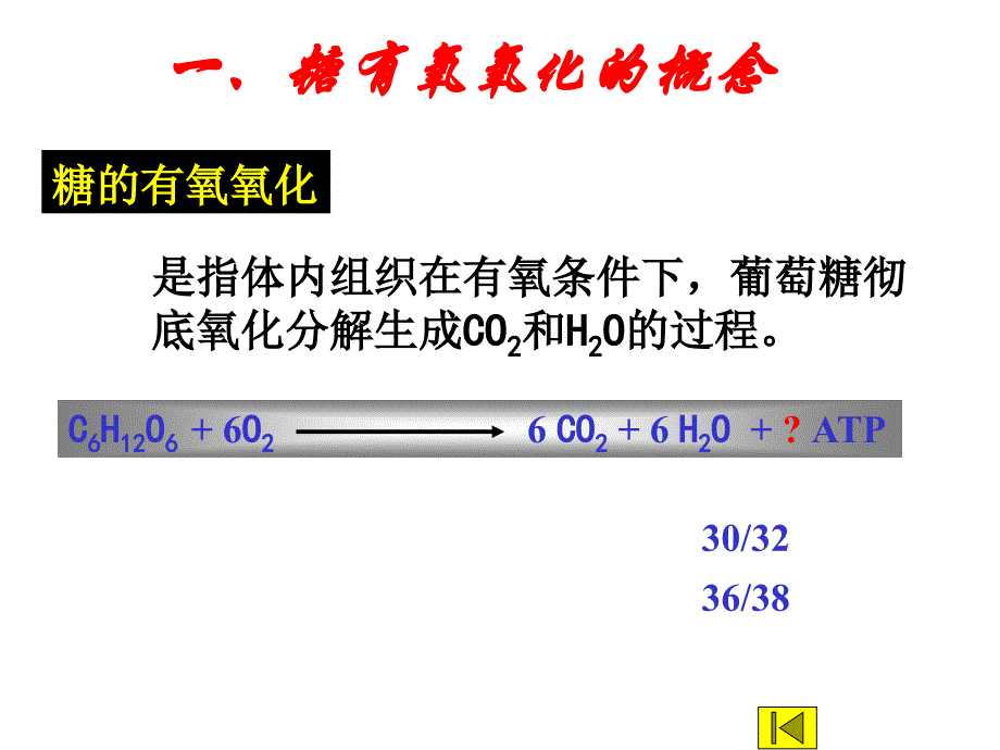 03第03章3节有氧分解与三羧酸循环_第3页