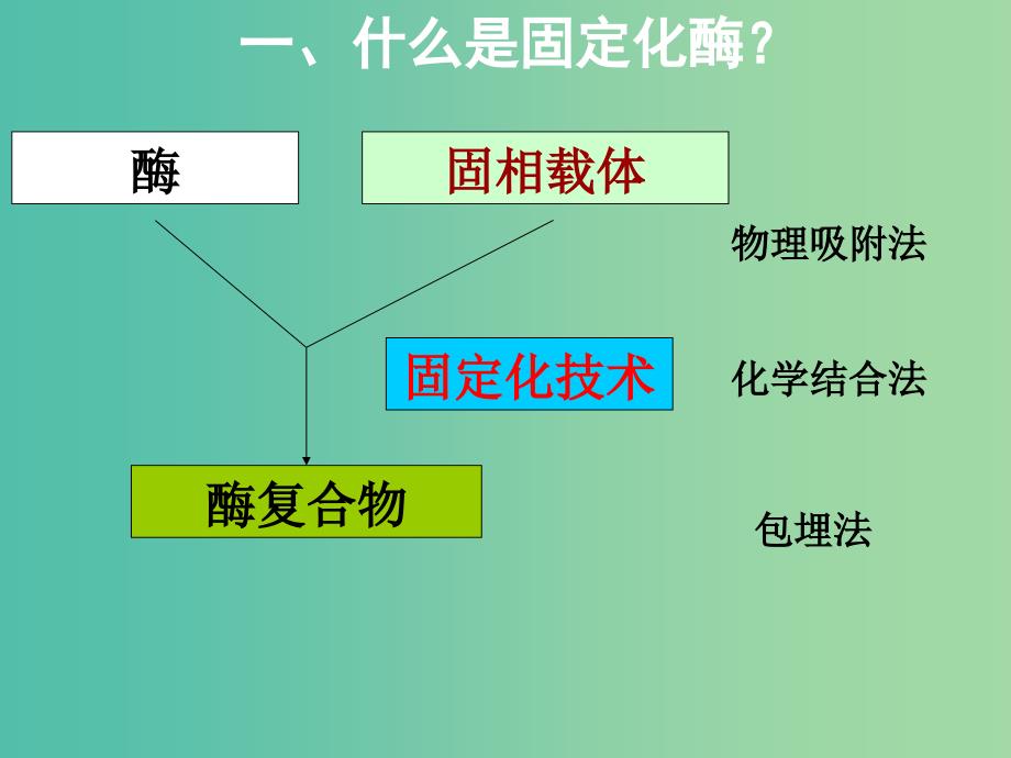 高中生物 固定化酶与细胞课件 苏教版选修1.ppt_第3页