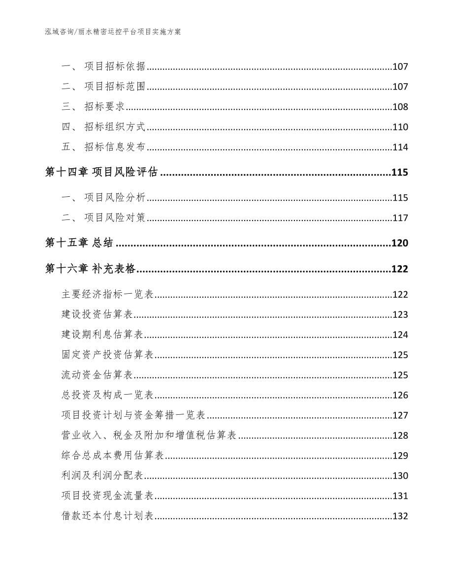 丽水精密运控平台项目实施方案_第5页