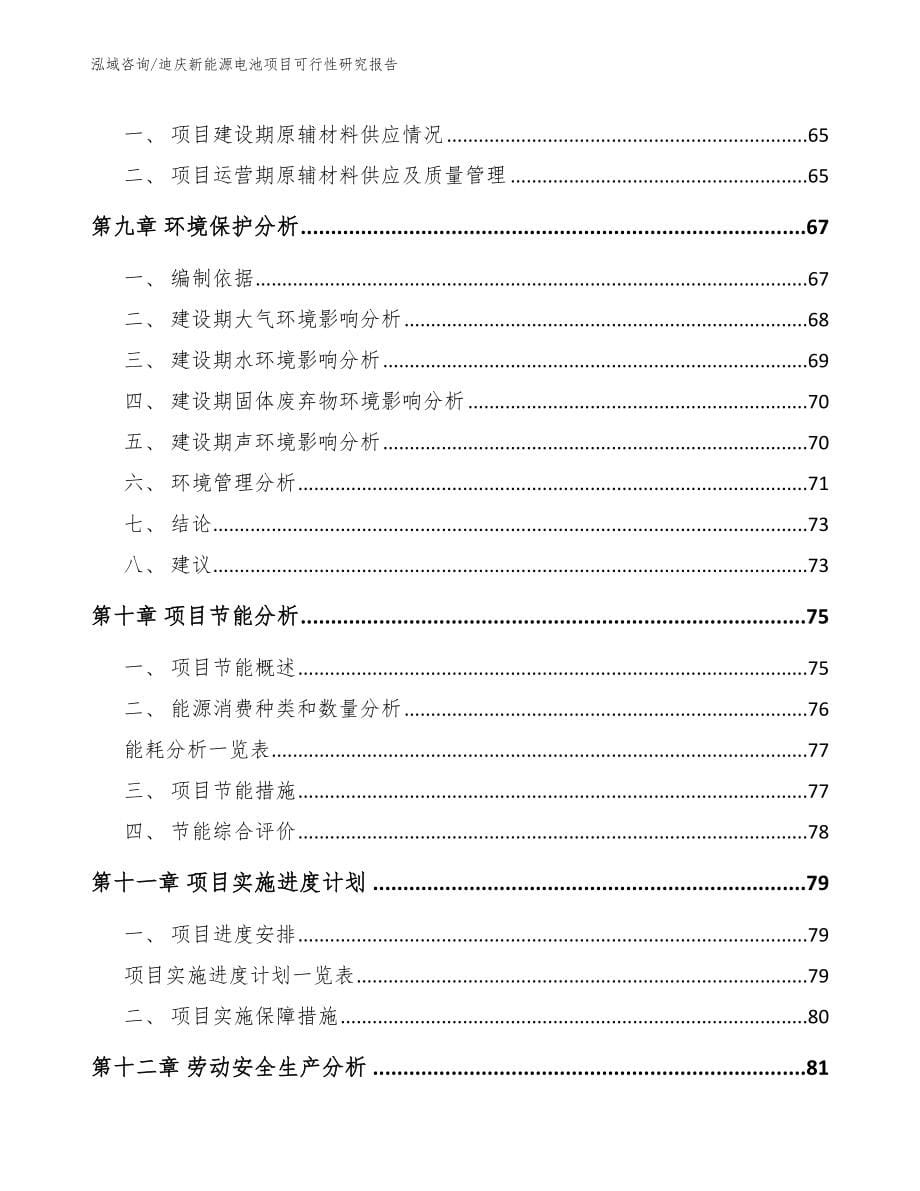 迪庆新能源电池项目可行性研究报告【范文】_第5页