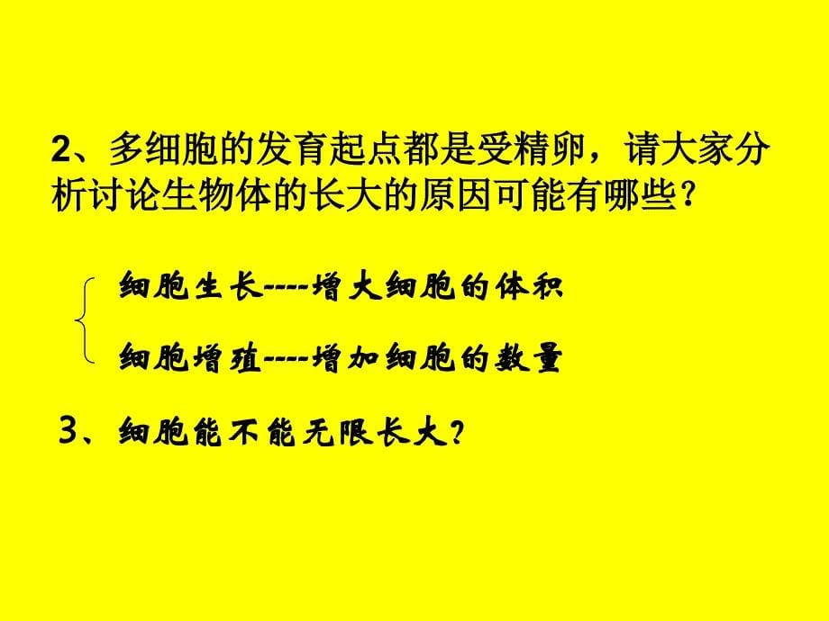 人教版教学课件细胞增殖的过程课件_第5页