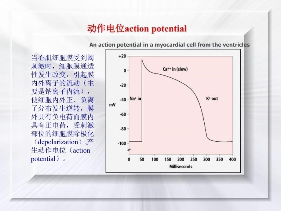 心图基础理论_第5页