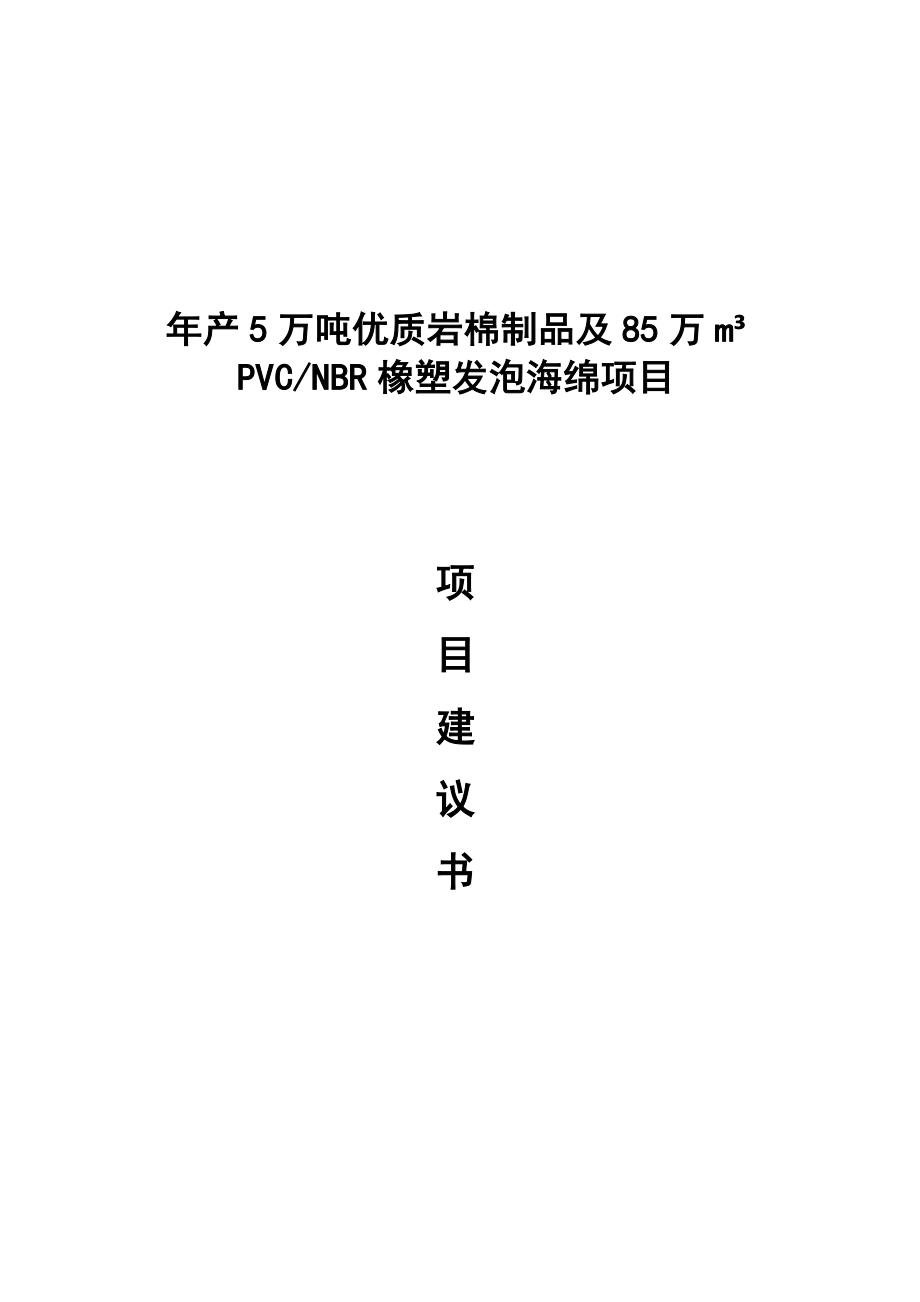 年产5万吨优质岩棉制品及85万立方米PVCNBR橡塑发泡海绵项目可行性研究报告.docx_第1页