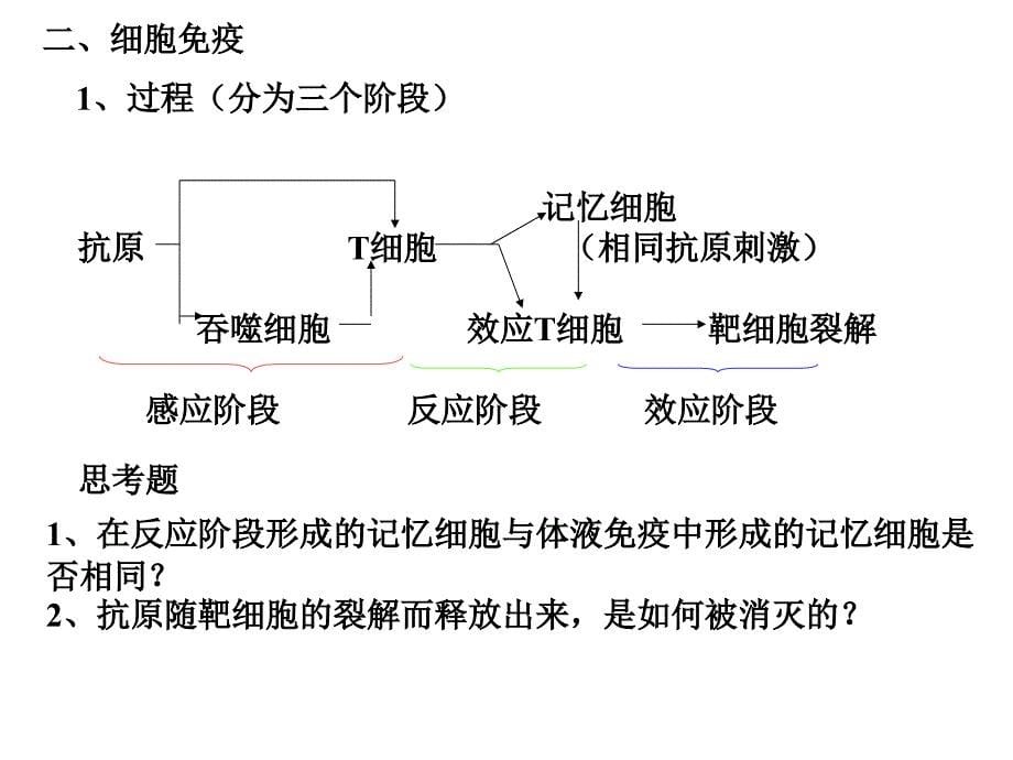 第二节体液免疫和细胞免疫_第5页