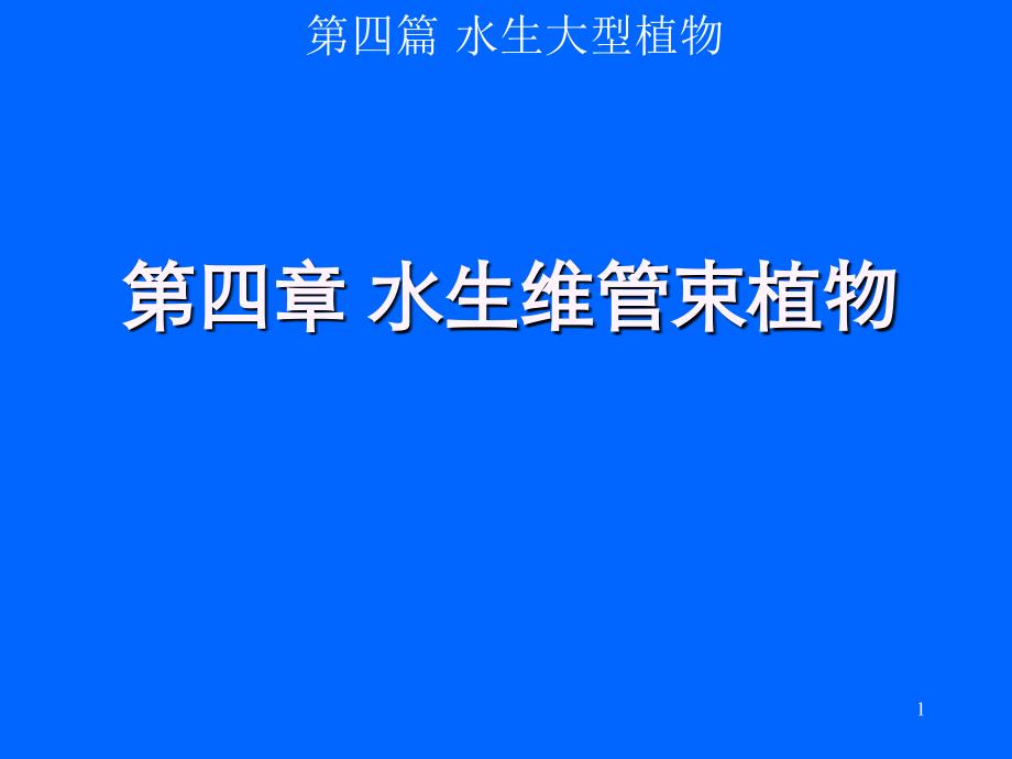 水生大型植物水生维管束植物_第1页