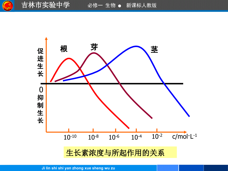 生长素的生理作用很全很详细_第4页