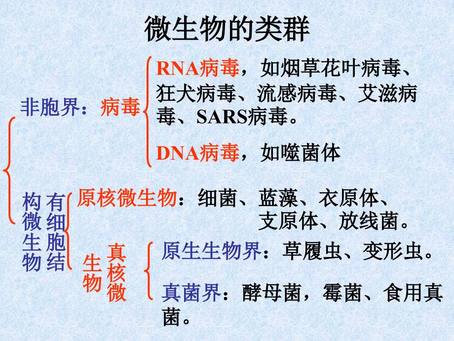 北京101中学生物组内部PPt课件——01微生物的类型_第3页