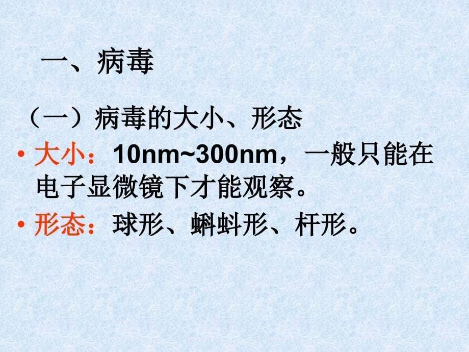 北京101中学生物组内部PPt课件——01微生物的类型_第5页