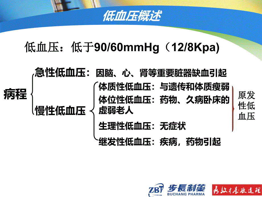 仙桂胶囊内部培训(简化版)_第3页