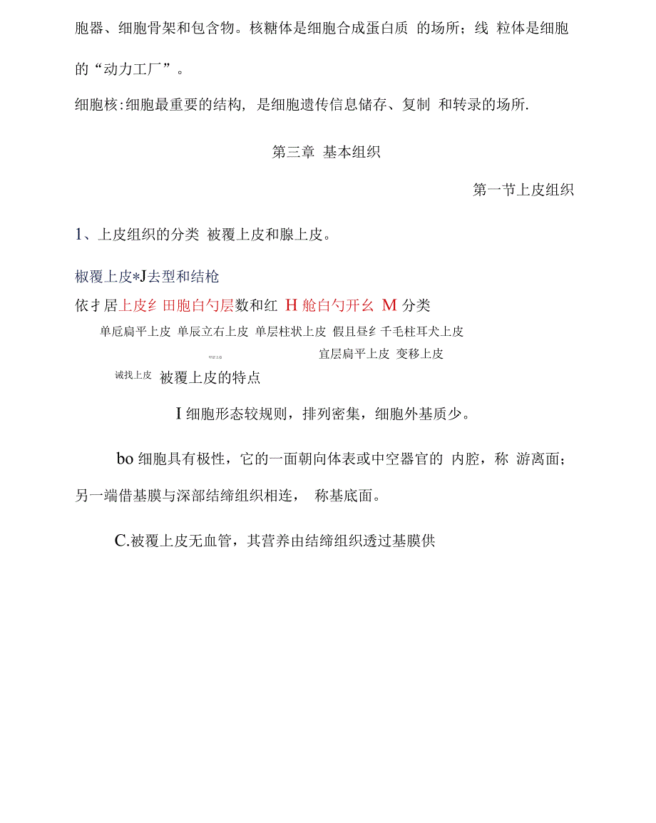 解剖学基础知识点整理_第3页