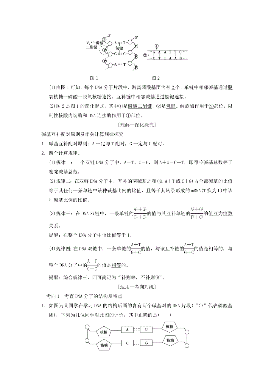 全国版高考生物一轮复习第6单元遗传的分子基础第2讲DNA分子的结构复制与基因的本质学案_第3页