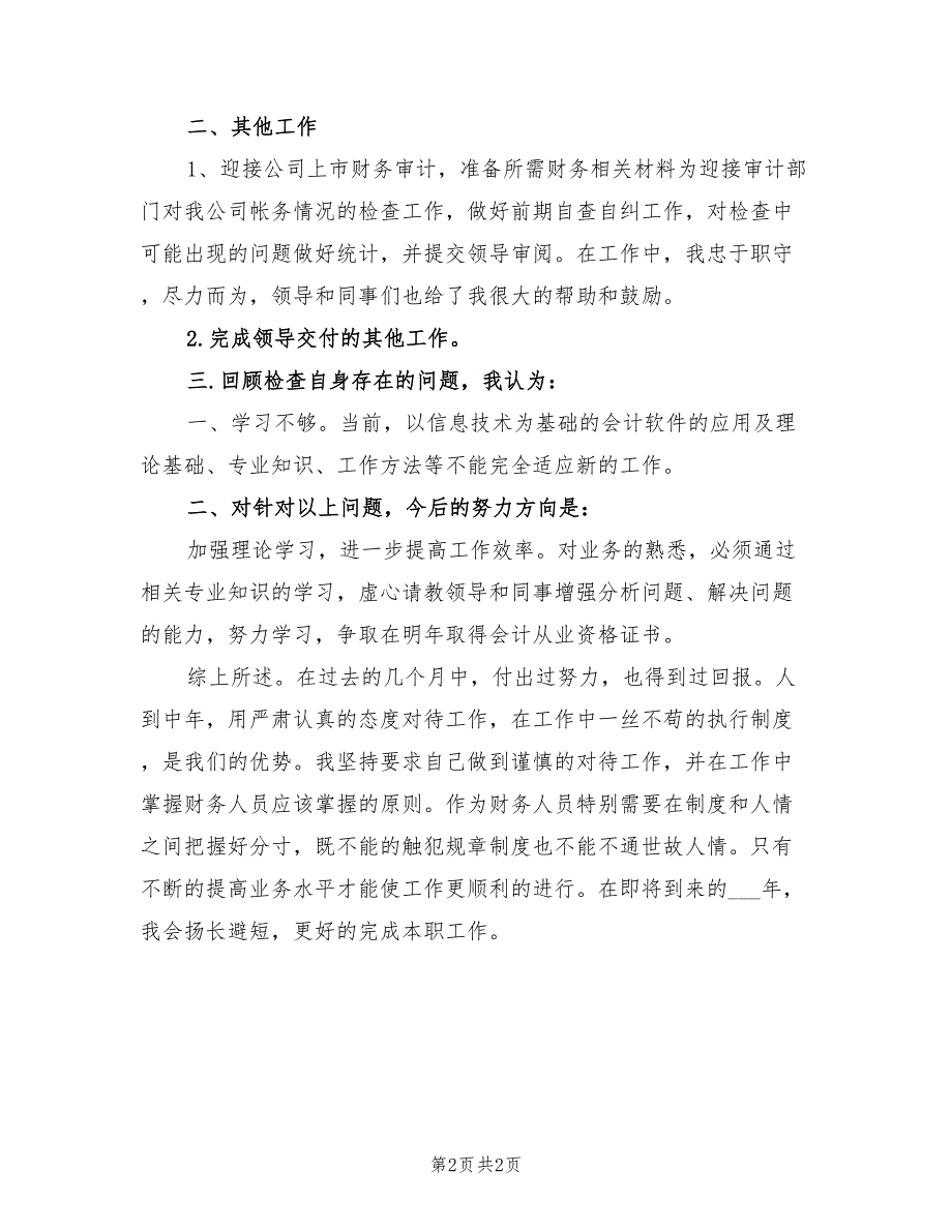 2022年财务出纳年终工作总结_第2页