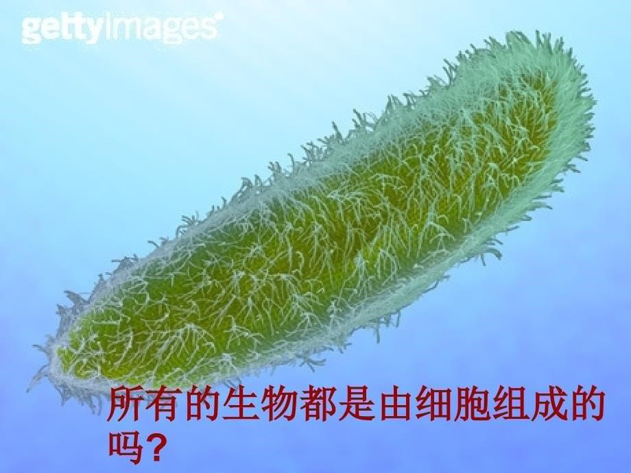 高中生物必修一第一章第一节从生物圈到细胞1_第5页