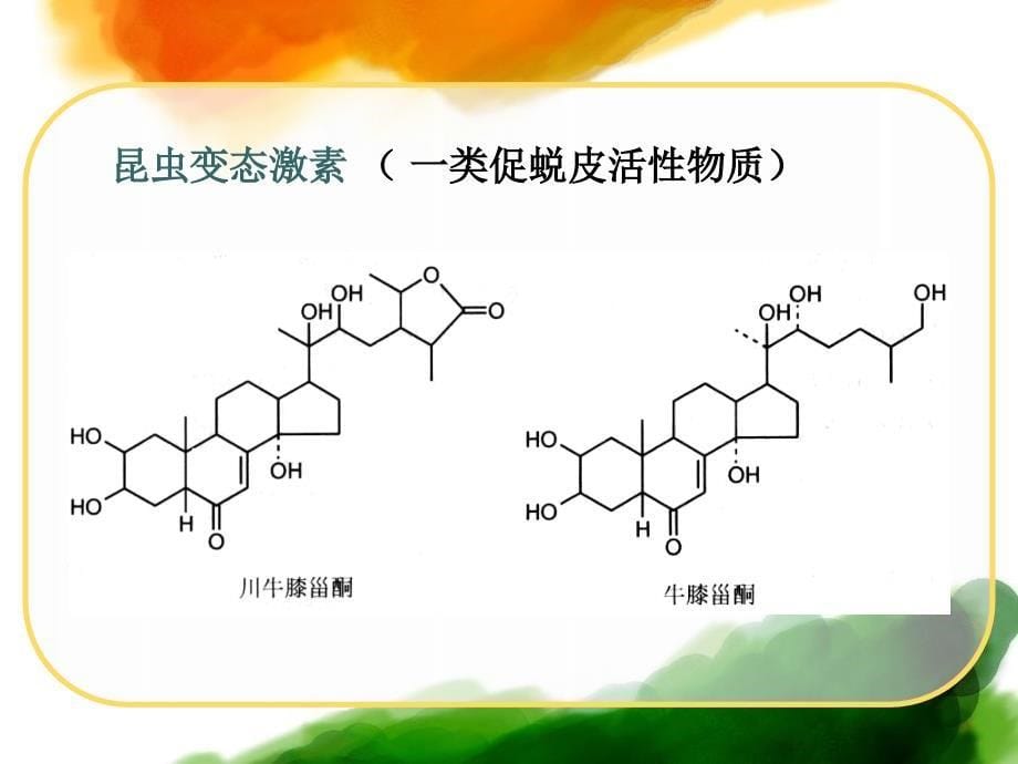 天然药化第八章甾体及其苷类_第5页