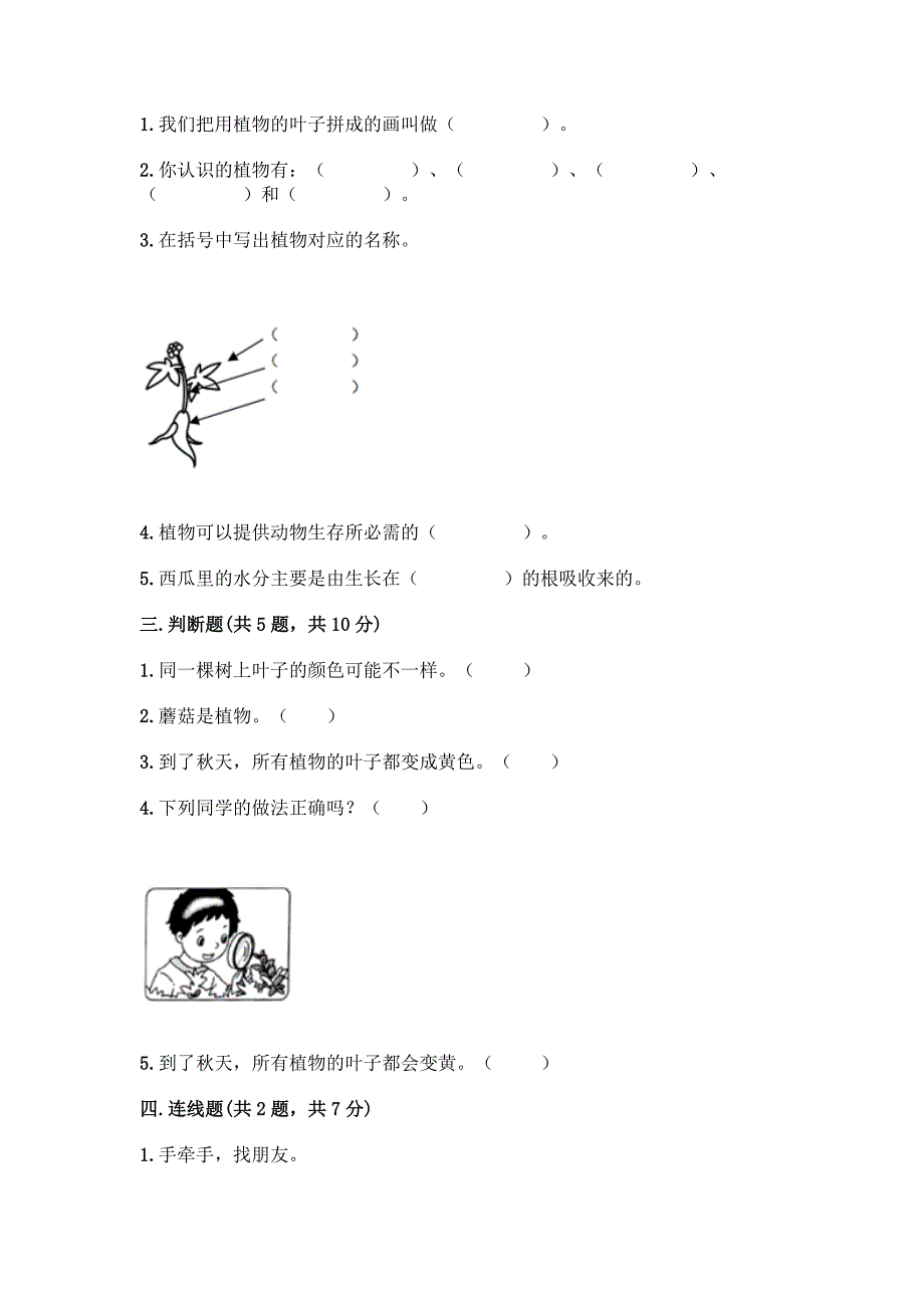 教科版科学一年级上册第一单元《植物》测试卷-精品(网校专用).docx_第2页