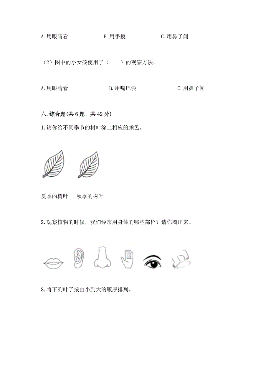 教科版科学一年级上册第一单元《植物》测试卷-精品(网校专用).docx_第4页