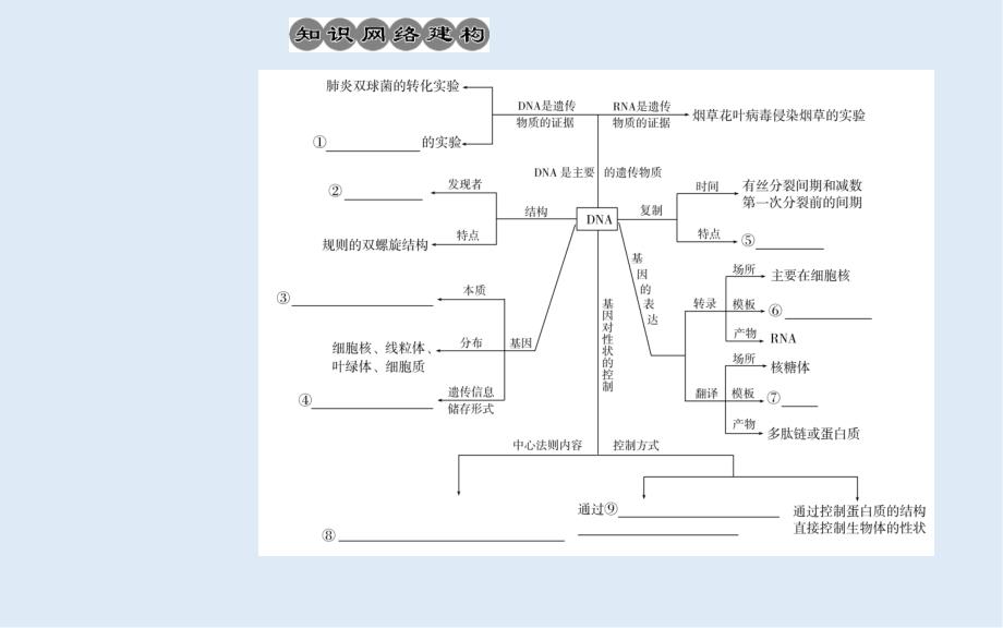 高考生物二轮复习专题五考点一人类对遗传物质的探索历程课件_第2页