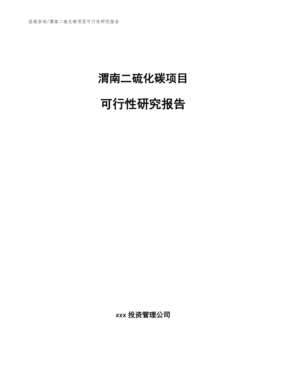 渭南二硫化碳项目可行性研究报告范文参考_第1页