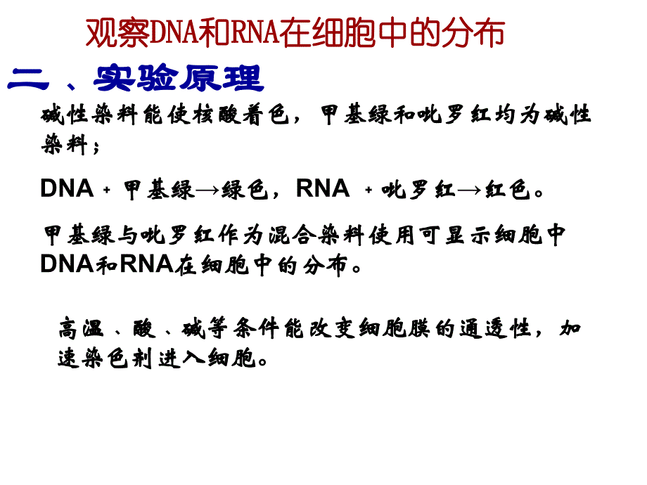 人教版教学课件DNA和RNA细胞中的分布PPT文档资料_第4页