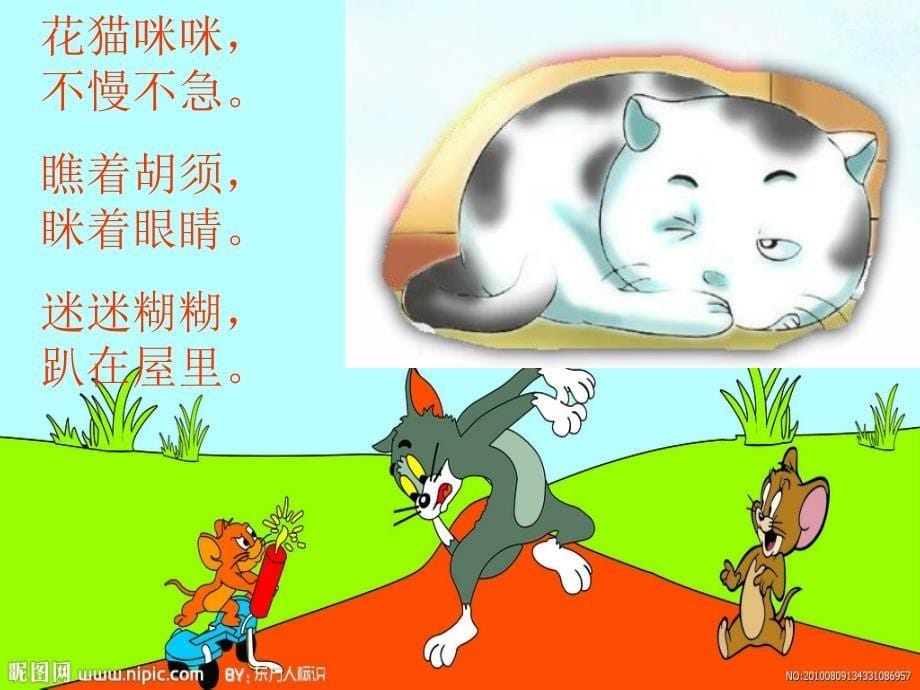 猫和老鼠上课_第5页