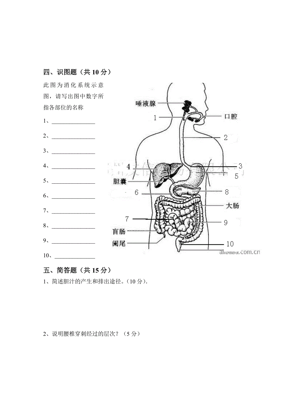 中职解剖学基础期中试卷.doc_第3页