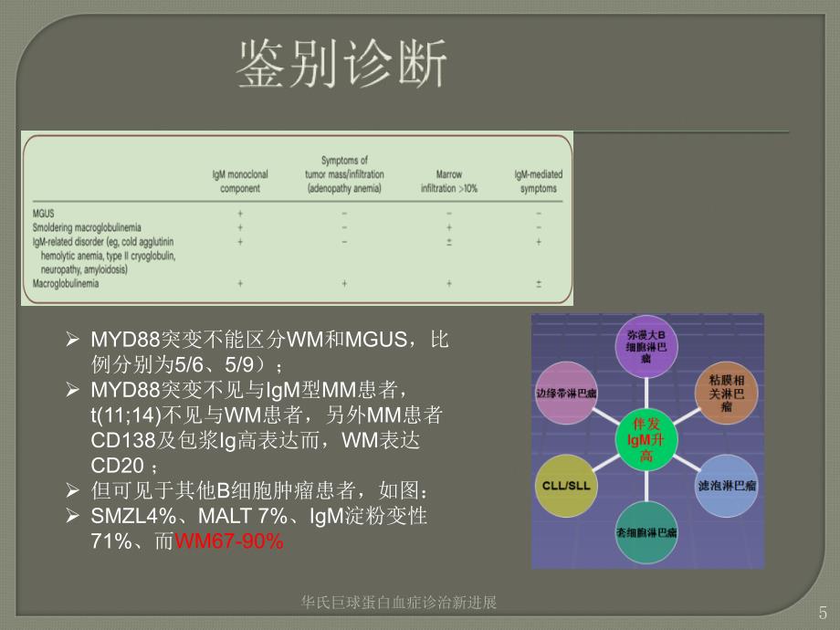 华氏巨球蛋白血症诊治新进展培训课件_第5页