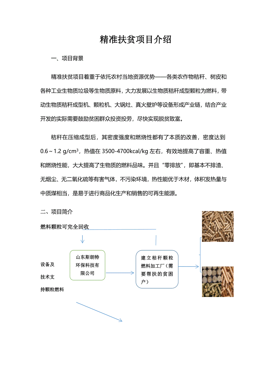 精准扶贫项目0315_第1页