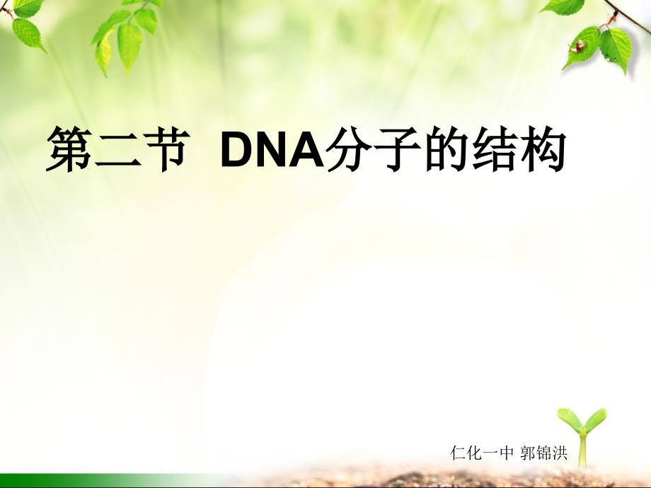 DNA分子的结构公开课课件_第2页