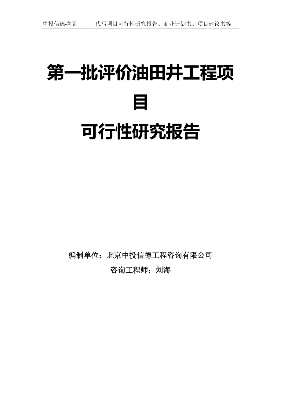 第一批评价油田井工程项目可行性研究报告模板_第1页