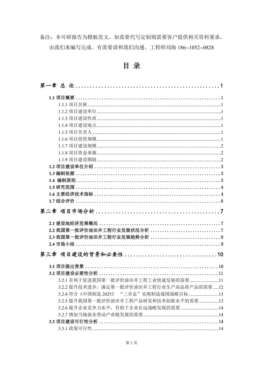 第一批评价油田井工程项目可行性研究报告模板_第2页