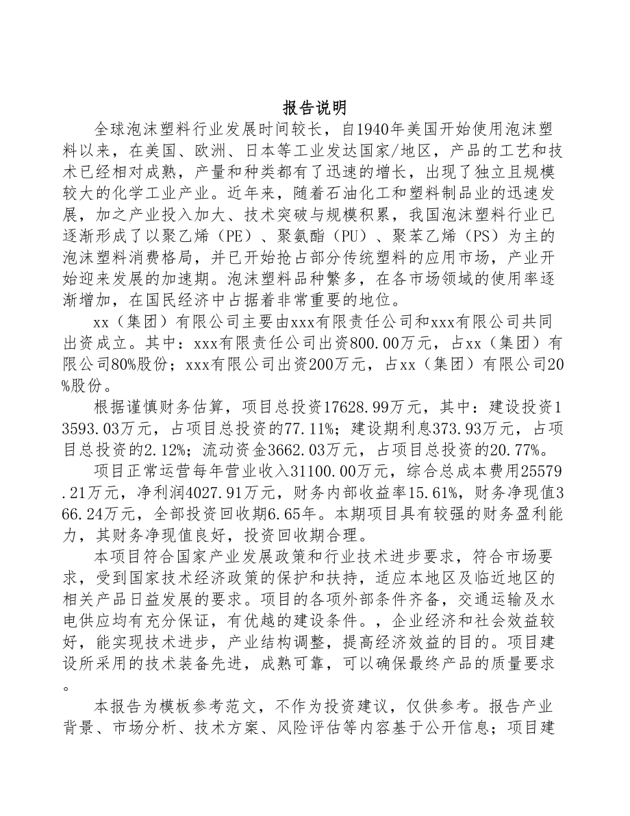 武汉关于成立高分子泡沫塑料公司可行性研究报告(DOC 78页)_第2页