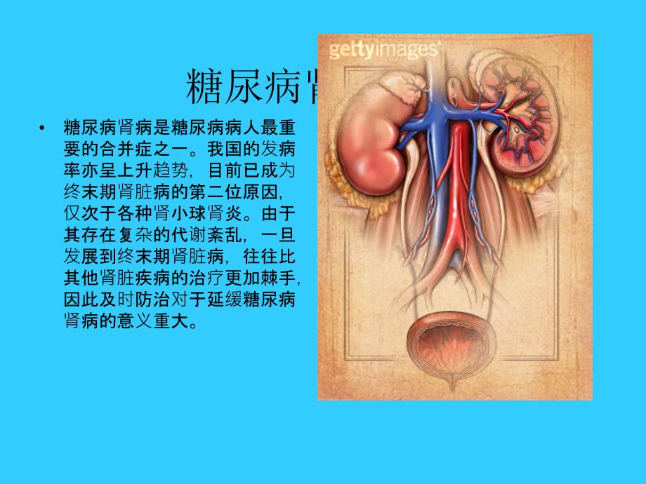 糖尿病肾病PPT_第3页