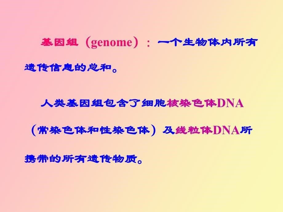 真核基因与基因组_第5页