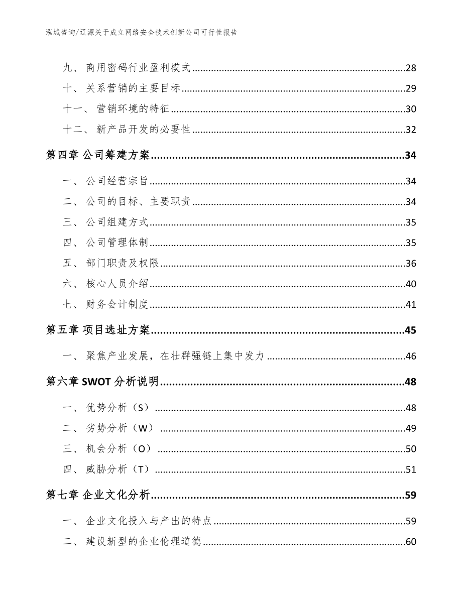 辽源关于成立网络安全技术创新公司可行性报告（参考范文）_第2页