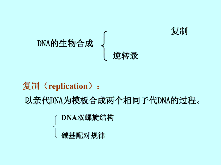 DNA生物合成课件_第3页