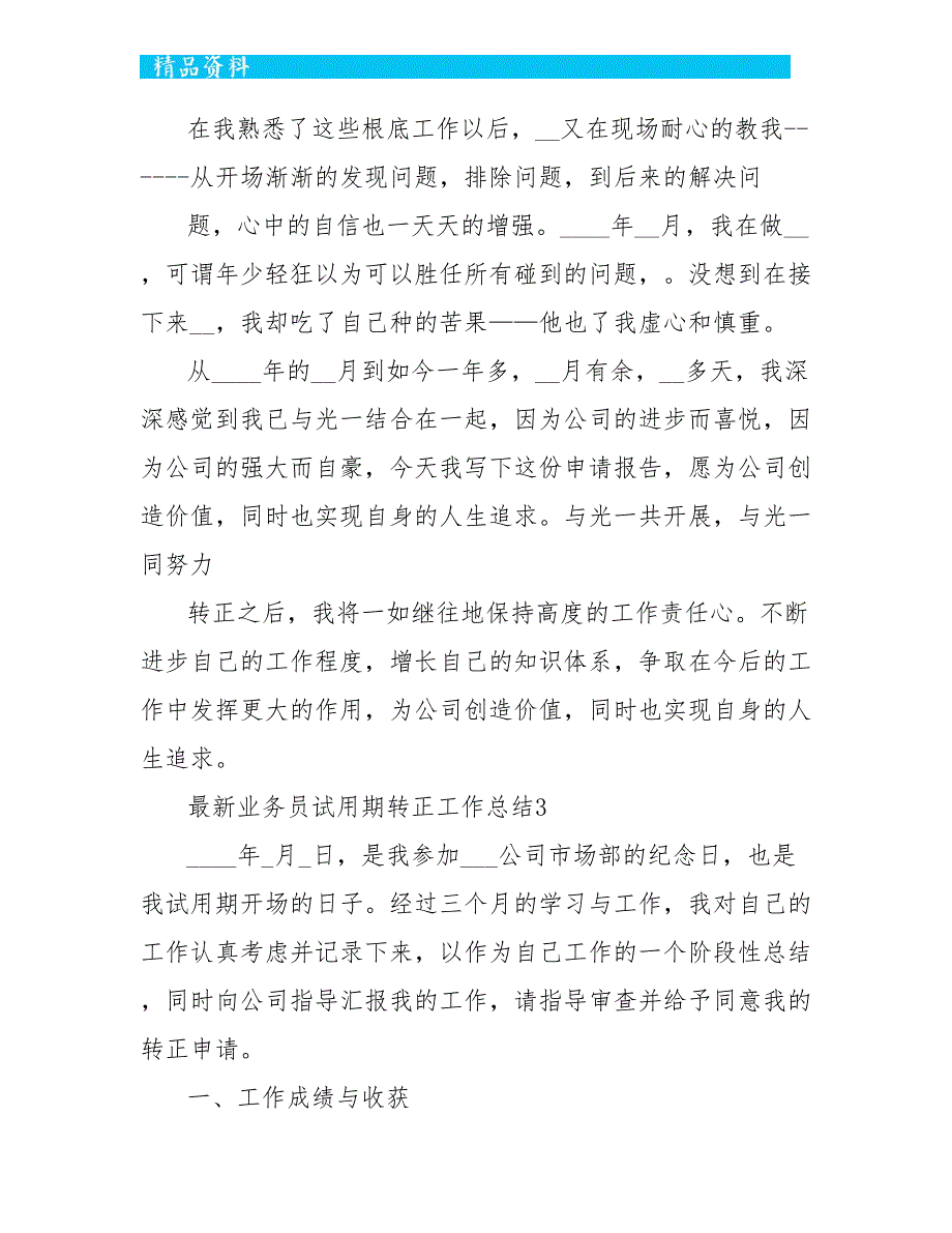 最新业务员试用期转正工作总结5篇_第4页