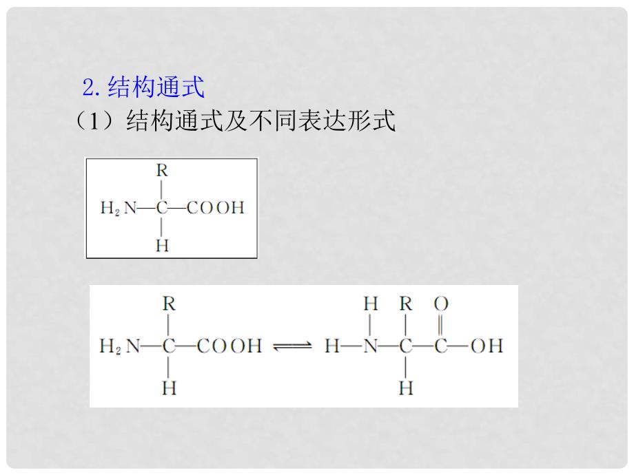 高中生物第1轮总复习 第3讲 生命活动的主要承担者蛋白质课件 湘教版必修1（湖南专版）_第4页