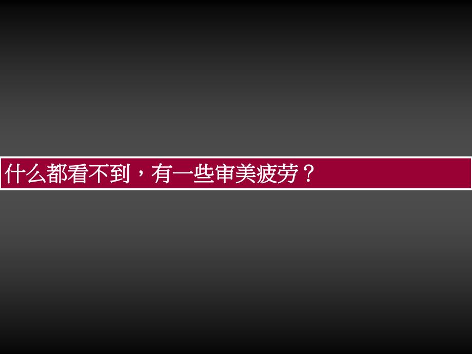 成都仁和天大道前期推广思路案_第2页